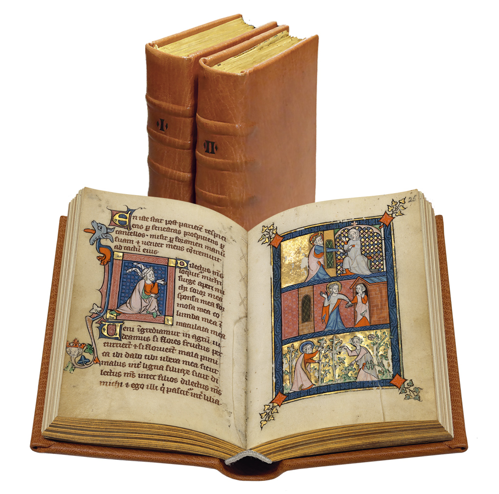 Goldener Psalter von St. Gallen, geschlossen und offen